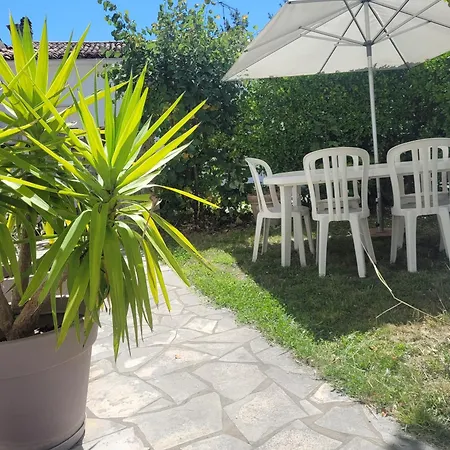 Du Houx * Saint-Palais-sur-Mer